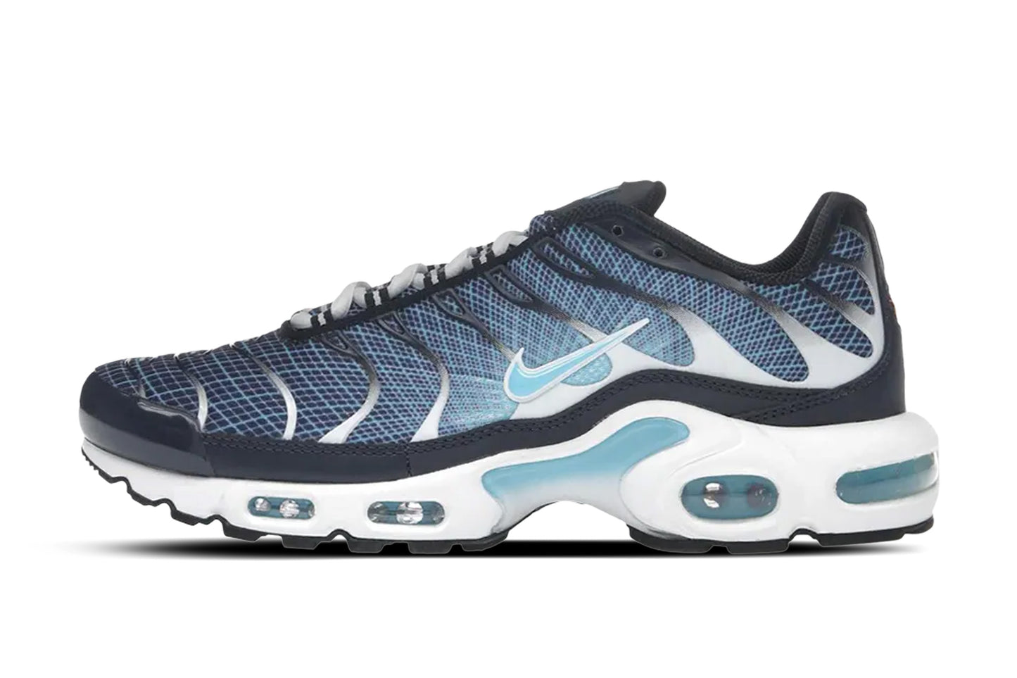 Nike Air Max Plus Dark Obsidian