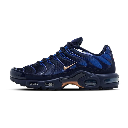 Nike TN Air Max Plus French Football Federation