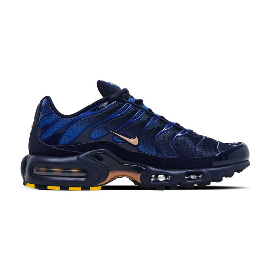 Nike TN Air Max Plus French Football Federation