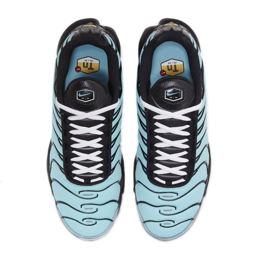 Nike Air Max Plus Aqua Blue