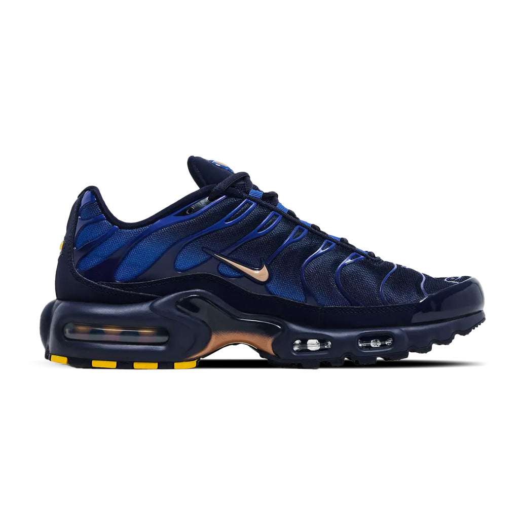 Nike TN Air Max Plus French Football Federation