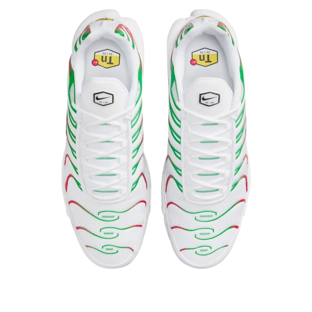 Nike Air Max Plus Italy