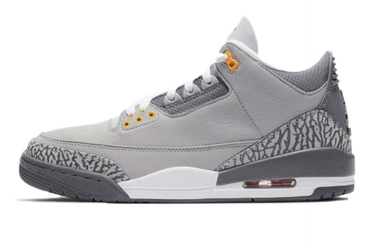 Air Jordan 3 Retro Cool Gris 2021